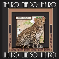 Roar 3
