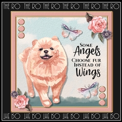 Furry Friends cf 1