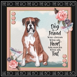 Furry Friends cf 2