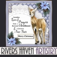 Northern Christmas 4