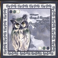 Birthday Hoot 2