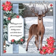 Artic Christmas 3