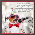 You say its your birthday 