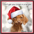 Tinsel in a Tangle