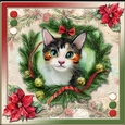 Christmas Kats