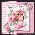 Valentine owl fold back with folio option