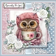 Just and Owl and her  Tea KIT: TWO