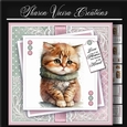 Just a Portrait of a Cute cat KIT-TWO