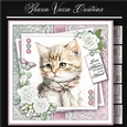 Just a portrait of a cute cat KIT-FIVE