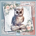 An OWL ANd His Book KIT-TWO