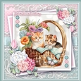Just some cute cats in a basket KIT-Three