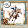Cowboy 2