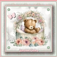 Baby Bear KIT-TWO