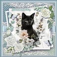 Just a gorgeou black cats KIT- THREE