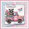 The Pink Raccoon Kit two 