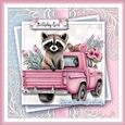 The Pink Raccoon Kit three