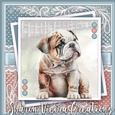 The Cute Bulldog KIT Two