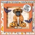 Shadow Box Halloween Kit 8x8 inch