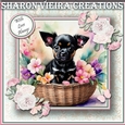 Puppy In a Basket 6