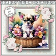 Puppy In a Basket 7