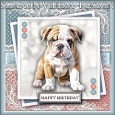 Birthday Bulldog