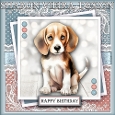 Birthday Puppy
