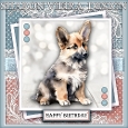 Birthday Puppy 2
