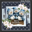 Merry Christmas Bears