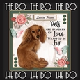 I Love Pets 1
