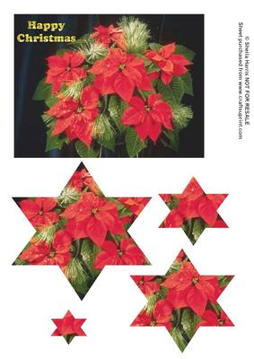 Poinsettia Star Shaped Pyramid Sheet