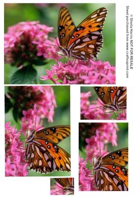 Butterfly on Blossom Twisted Pyramid Sheet