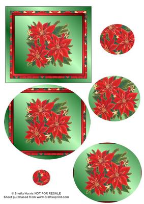 Poinsettia Oval Pyramid Sheet