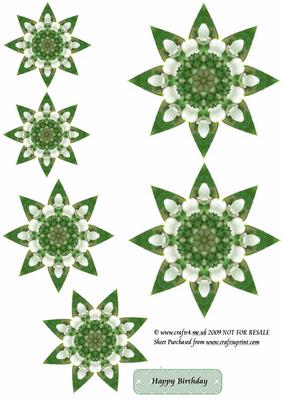 Lily of the Valley Star Flower