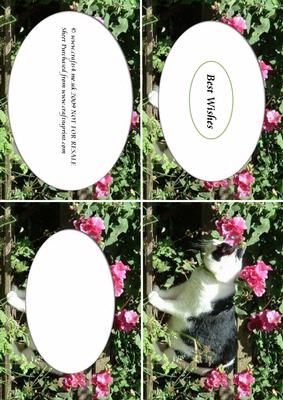 Weasley in the Flowers
