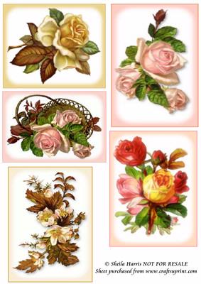 Rose Toppers