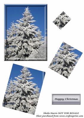 Christmas Tree in the Snow