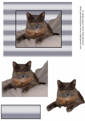 Nutmeg the Cat Decoupage