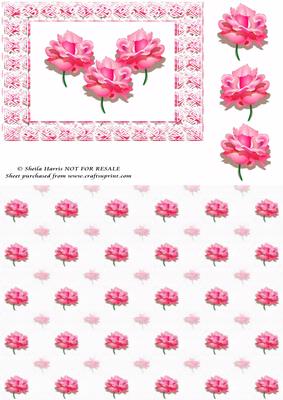 Lacey Frame Pink Rose