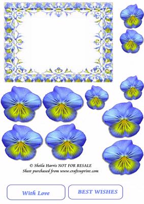 Lace Frame Pansy