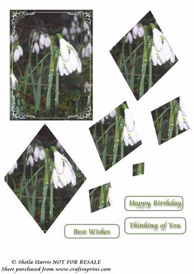 Snowdrop Spiral Diamond Pyramid