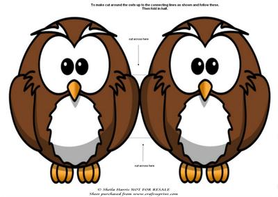 Owl Card - It's a Hoot