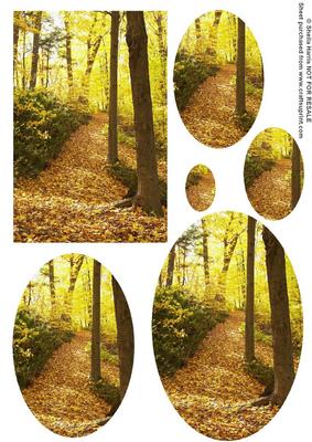 Autumn in the Woods Pyramid Sheet