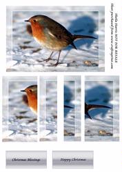Robin in the Snow