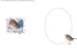 Robin Insert 2 (portrait)