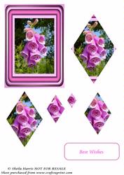 Foxgloves Diamond Pyramid