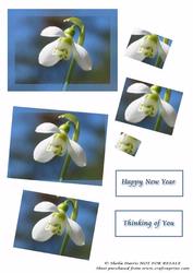 Snowdrop Spiral Pyramid