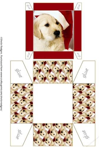 Gift Box - Christmas Puppy