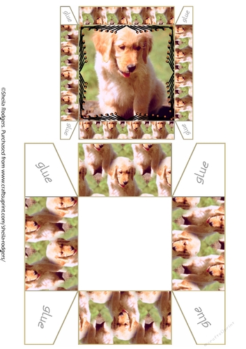 Gift Box - Labrador Puppy