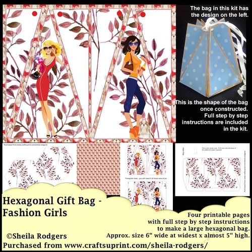 HEXAGONAL GIFT BAG - FASHION GIRLS
