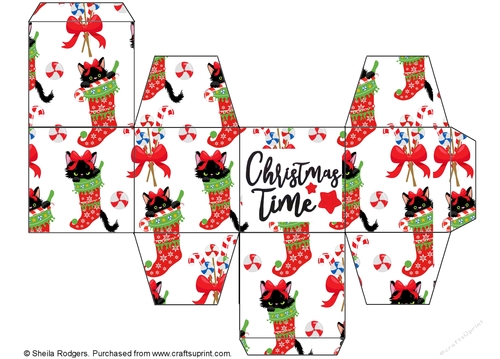 All In One Gift Box - Christmas Cats 2